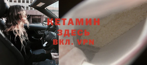 шишки Абаза