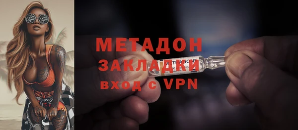 шишки Абаза