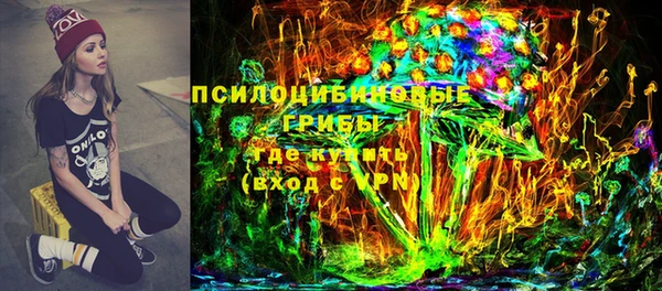шишки Абаза