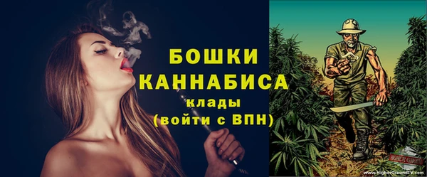 шишки Абаза