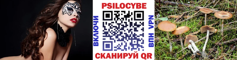 Галлюциногенные грибы GOLDEN TEACHER  кракен tor  Щёлково 
